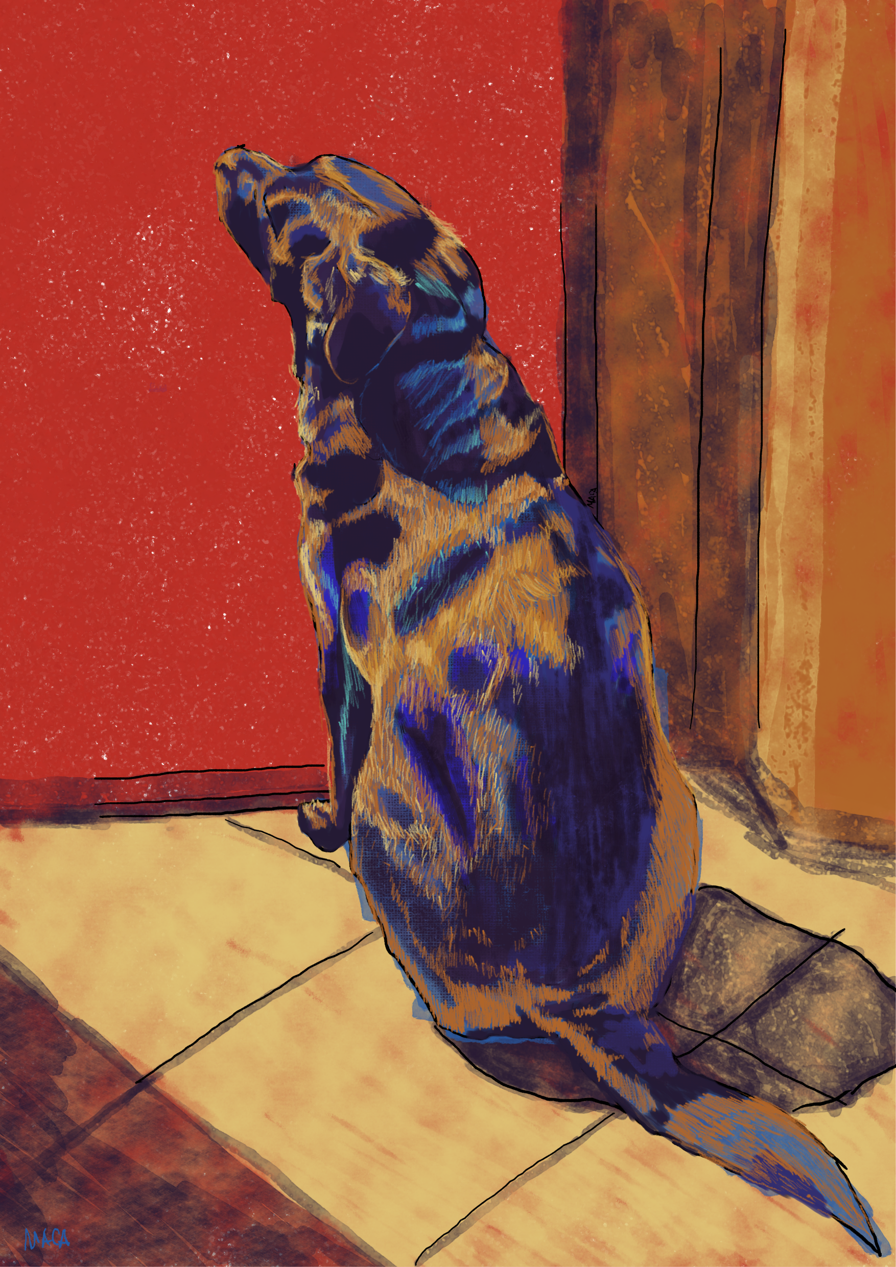 Anubi