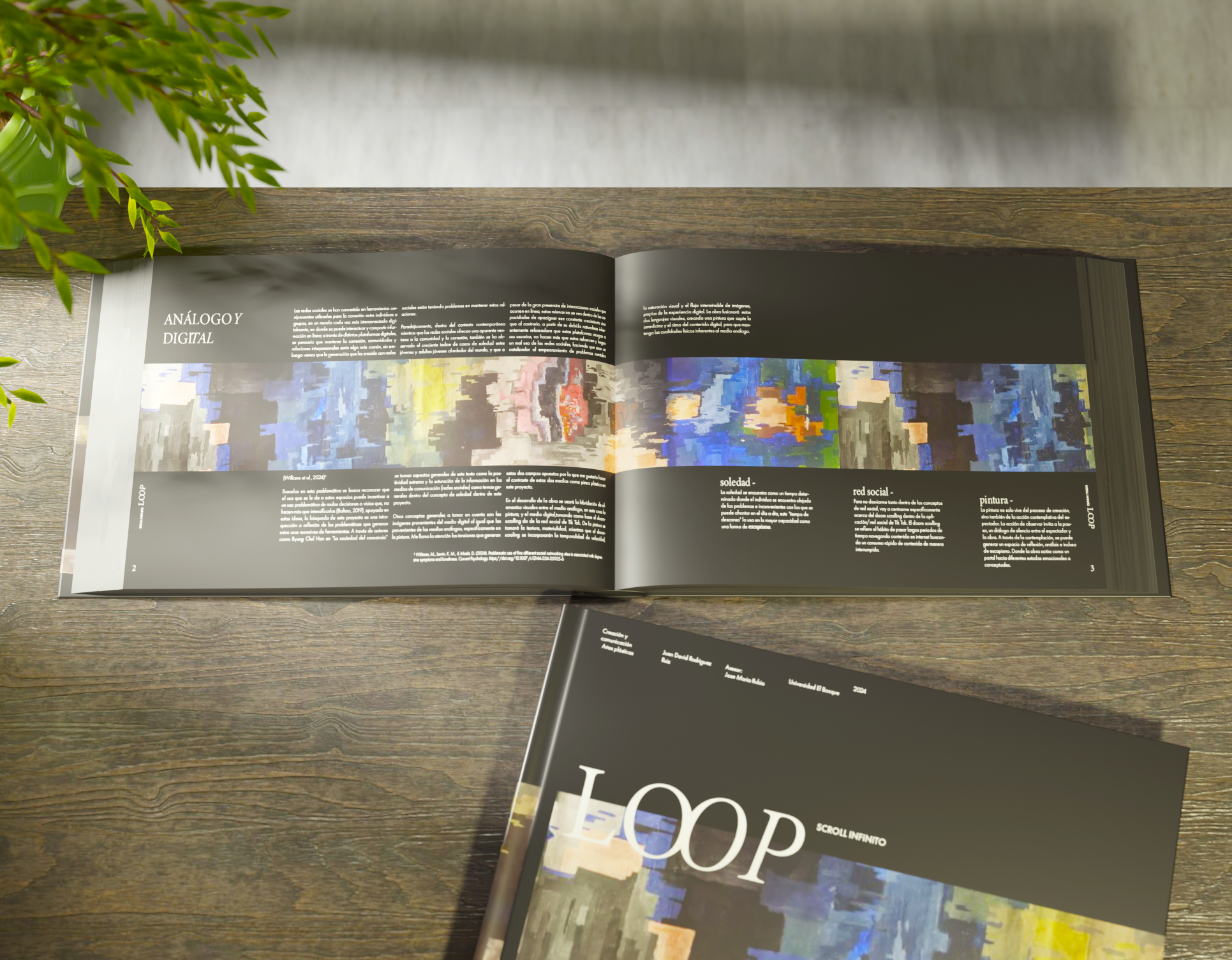 Loop. Book